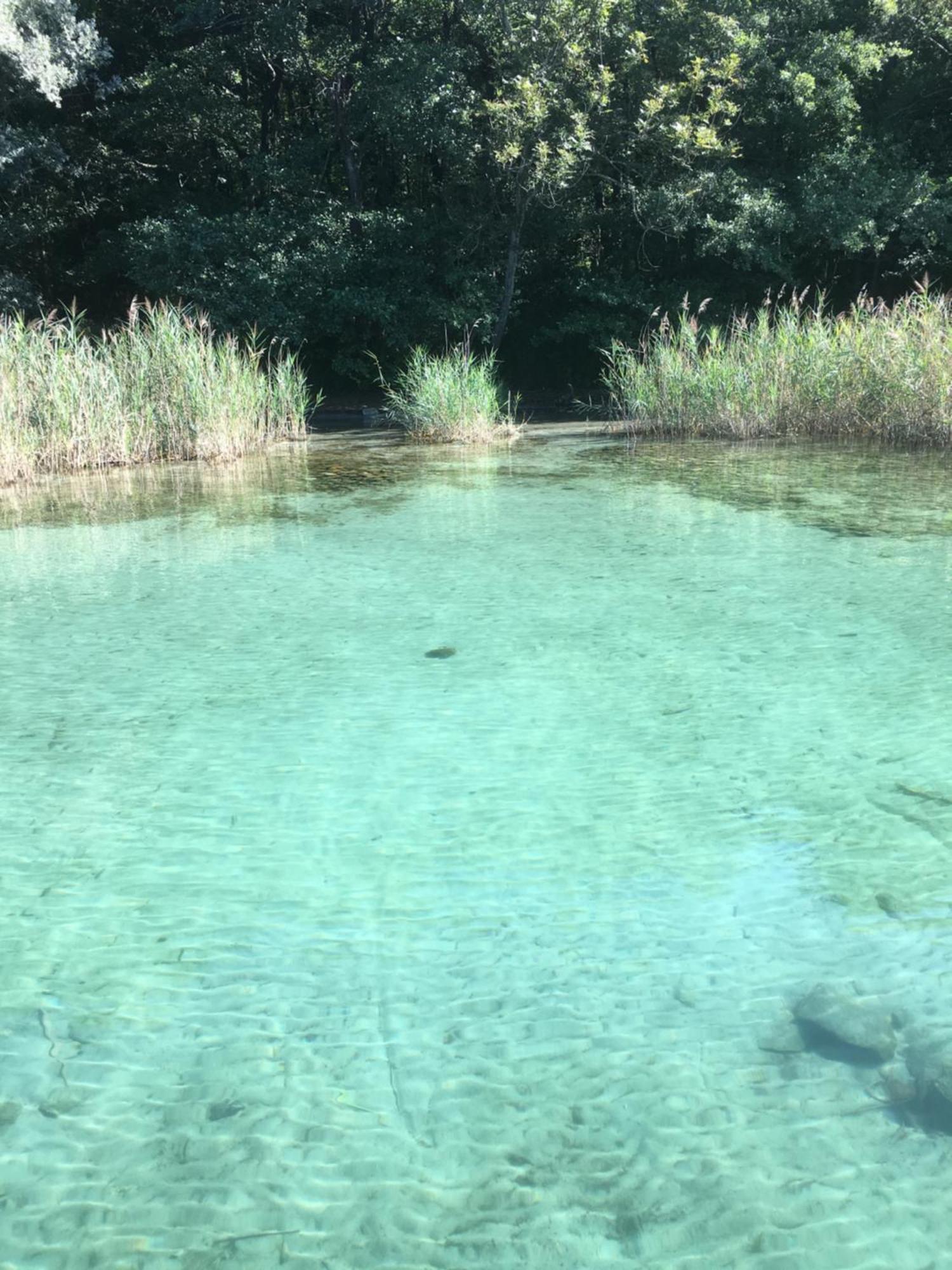 -Ortaflats- Appartamenti Imbarcadero & Palazzotto Orta San Giulio Kültér fotó